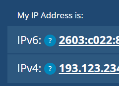 [疑问]  如何为只有ipv4的富强地址  同时显示IPV6