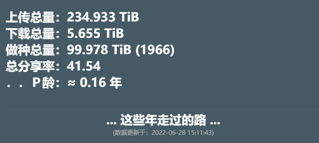 PT跟风4别潜水了发药了求个天空求个堡