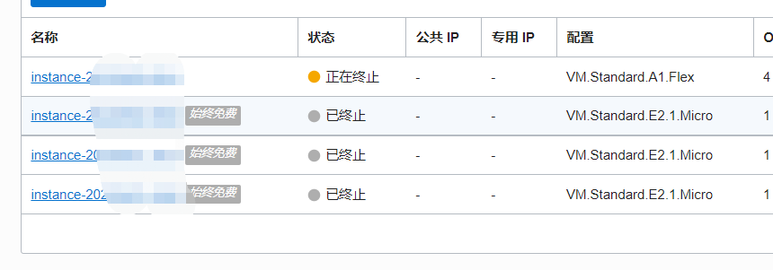 为啥我选择的arm，结果开出来是VM.Standard.E2.1.Micro